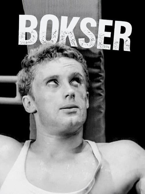 Boxer